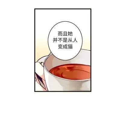 神父的病历簿 神父的病历簿 | 第19章 第28页
