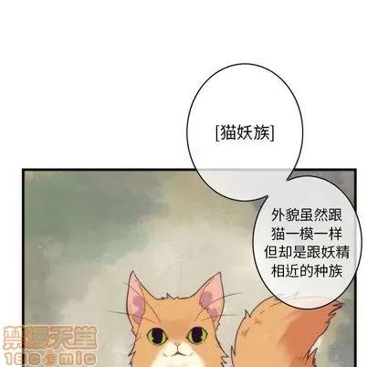 神父的病历簿 神父的病历簿 | 第19章 第30页