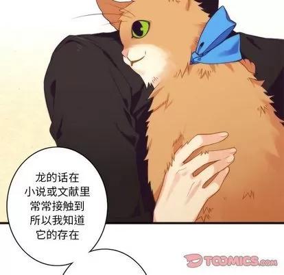 神父的病历簿 神父的病历簿 | 第19章 第41页