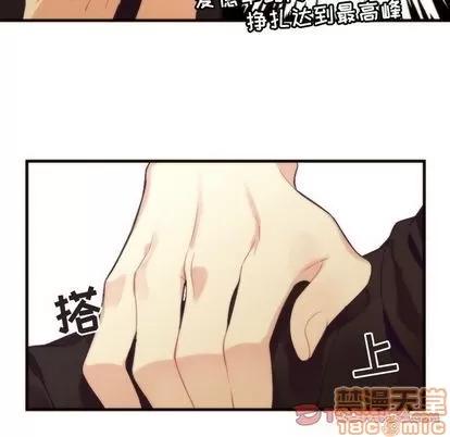 神父的病历簿 神父的病历簿 | 第24章 第25页