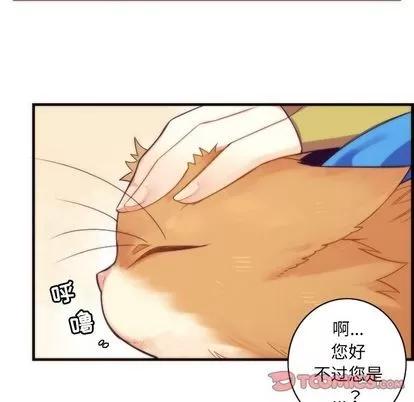 神父的病历簿 神父的病历簿 | 第24章 第51页