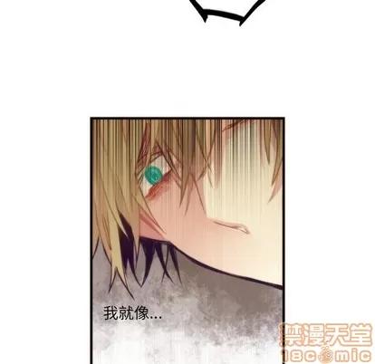 神父的病历簿 神父的病历簿 | 第39章 第55页