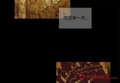 神父的病历簿 神父的病历簿 | 第62章 第3页