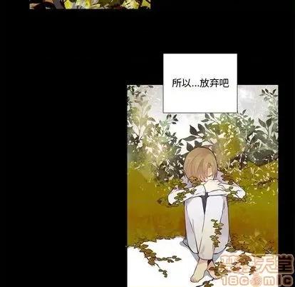 神父的病历簿 神父的病历簿 | 第78章 第35页