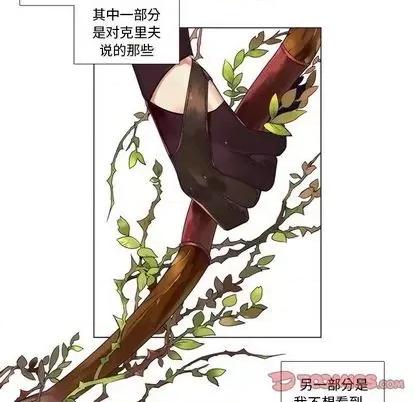神父的病历簿 神父的病历簿 | 第81章 第13页