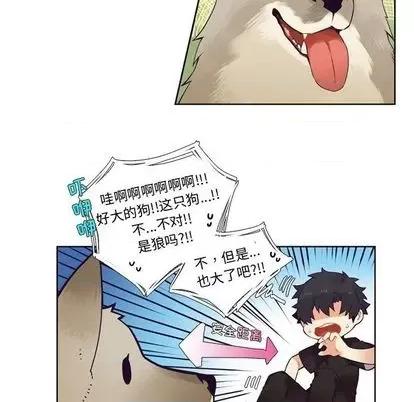 神父的病历簿 神父的病历簿 | 第84章 第22页