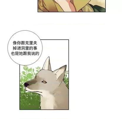 神父的病历簿 神父的病历簿 | 第84章 第26页