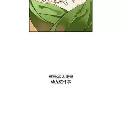 神父的病历簿 神父的病历簿 | 第85章 第46页