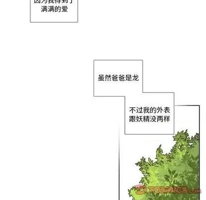 神父的病历簿 神父的病历簿 | 第86章 第33页