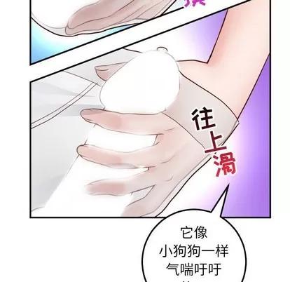 学姐的那些事 与学姐的那些事 | 第28章 第97页