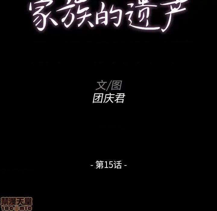 家族的遗产 家族的遗产 15 第10页