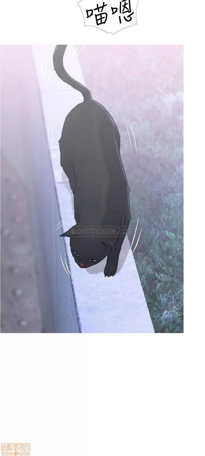 主妇危机 主妇危机 第4页