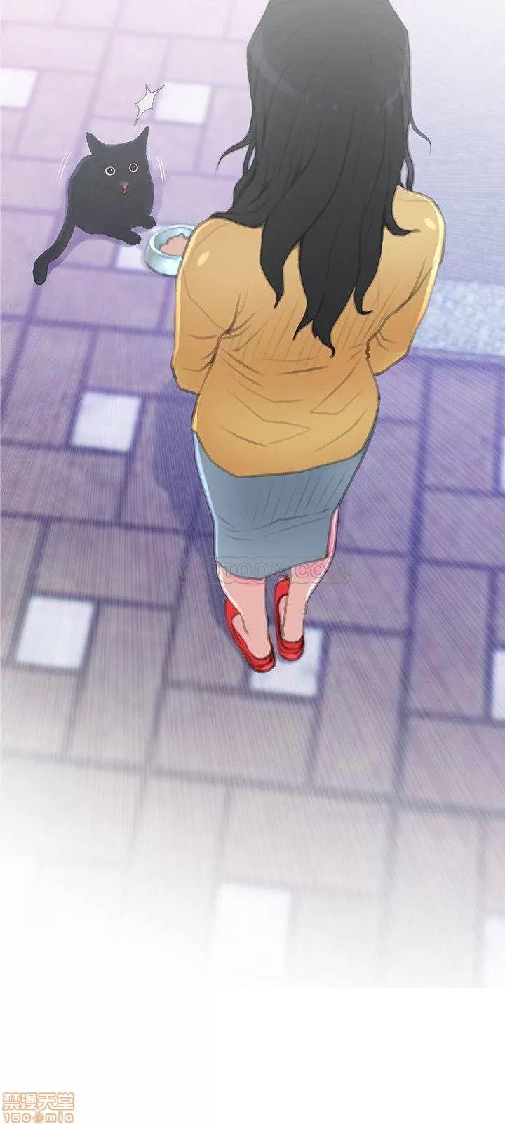 主妇危机 主妇危机 第16页