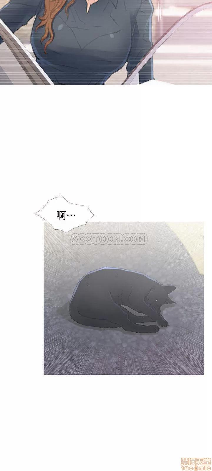 主妇危机 主妇危机 第28页