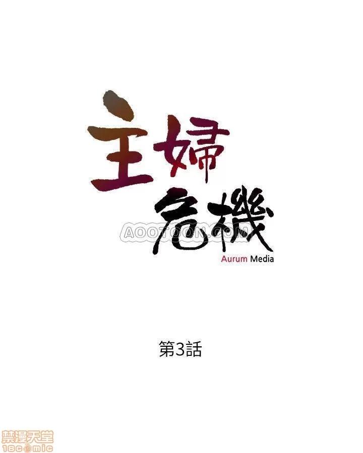 主妇危机 主妇危机 3 第3页