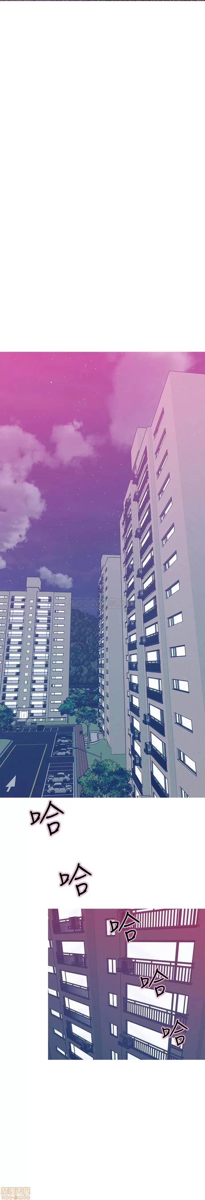 主妇危机 主妇危机 10 第11页