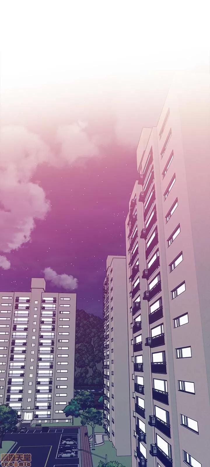 主妇危机 主妇危机 11 第3页