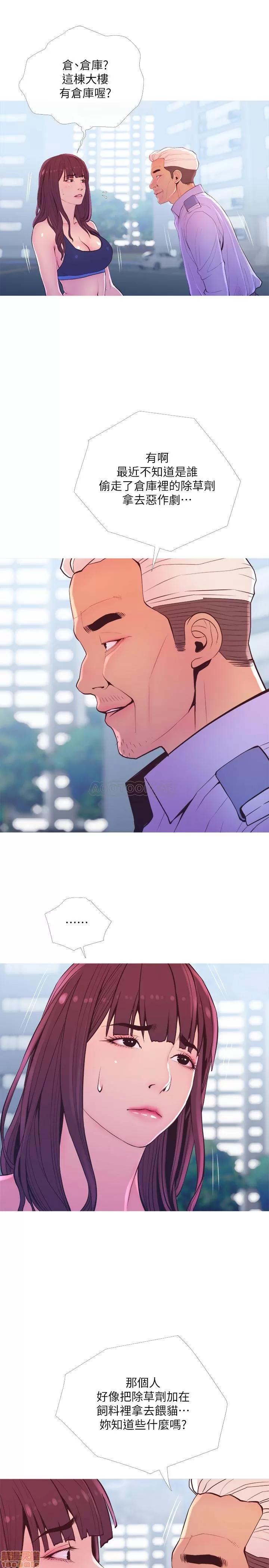 主妇危机 主妇危机 11 第22页
