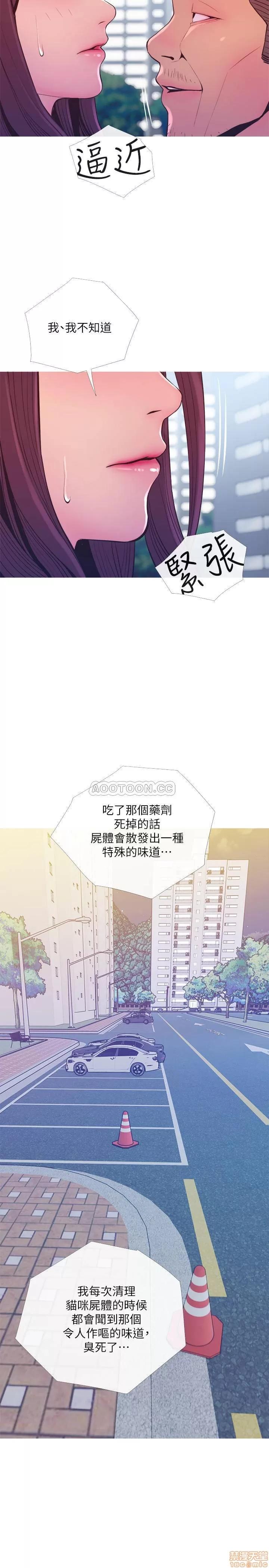 主妇危机 主妇危机 11 第23页