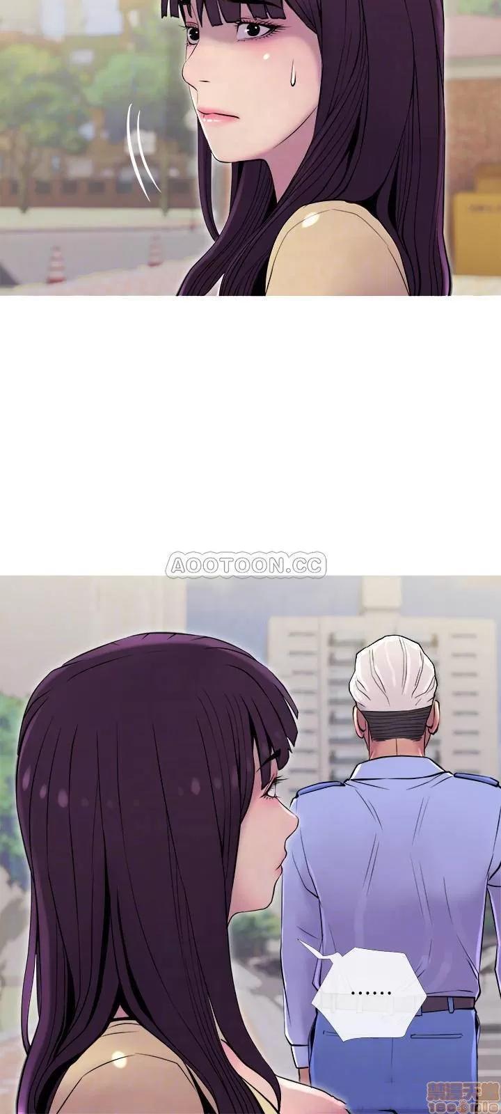 主妇危机 主妇危机 12 第12页