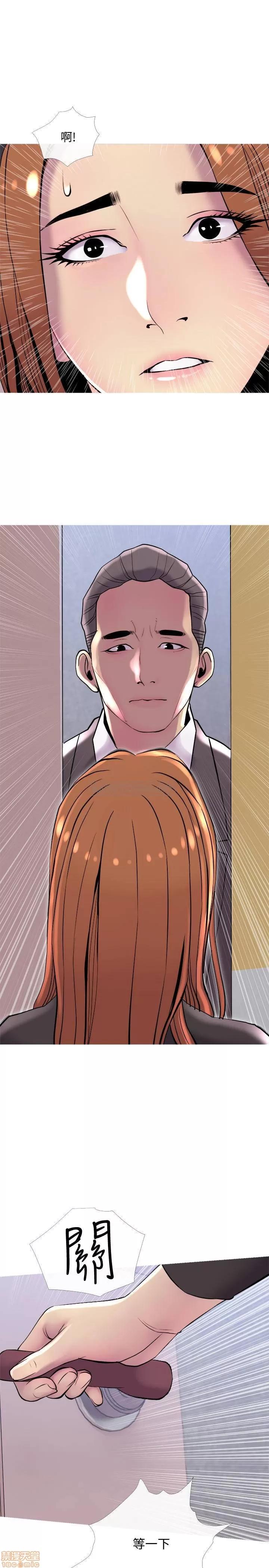 主妇危机 主妇危机 13 第1页