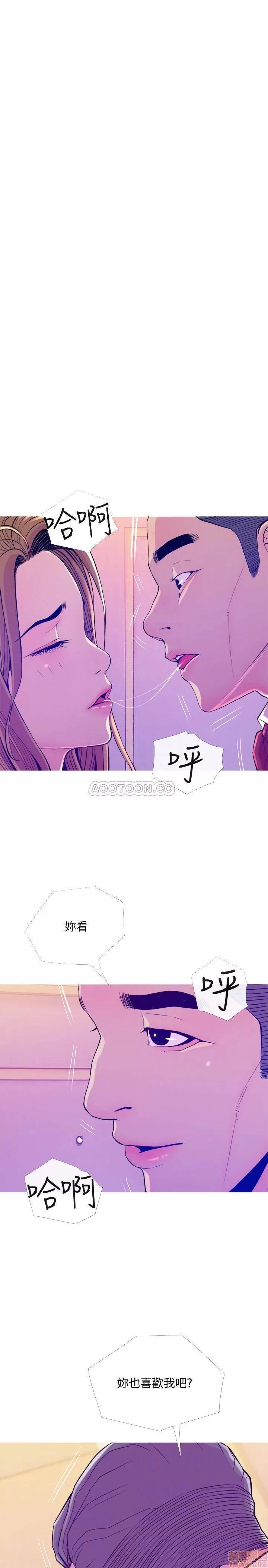 主妇危机 主妇危机 13 第14页