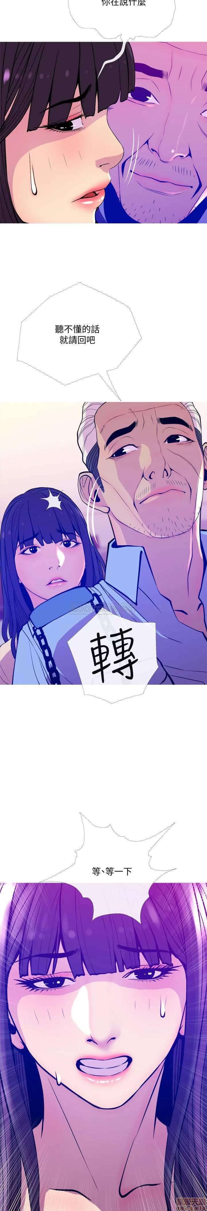 主妇危机 主妇危机 13 第20页