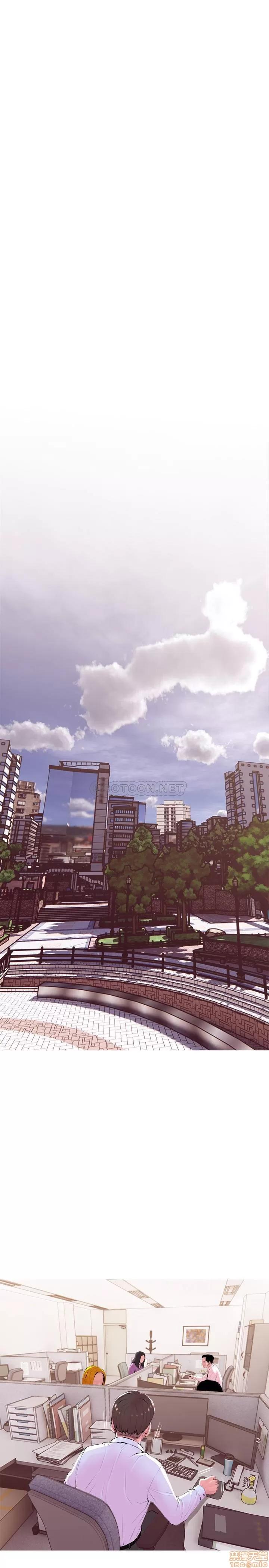主妇危机 主妇危机 20 第19页