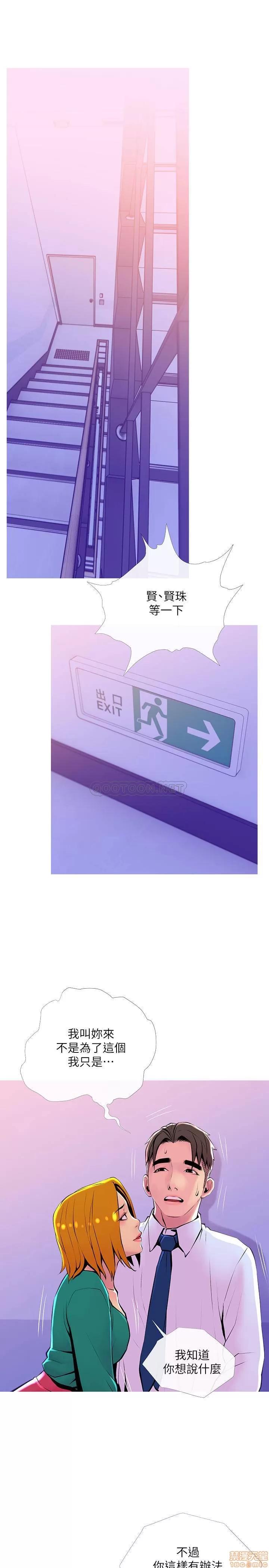 主妇危机 主妇危机 21 第1页