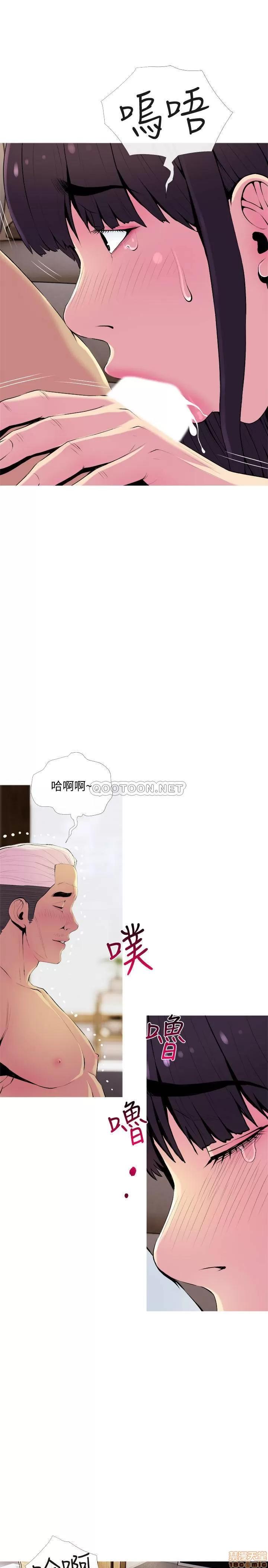 主妇危机 主妇危机 22 第22页