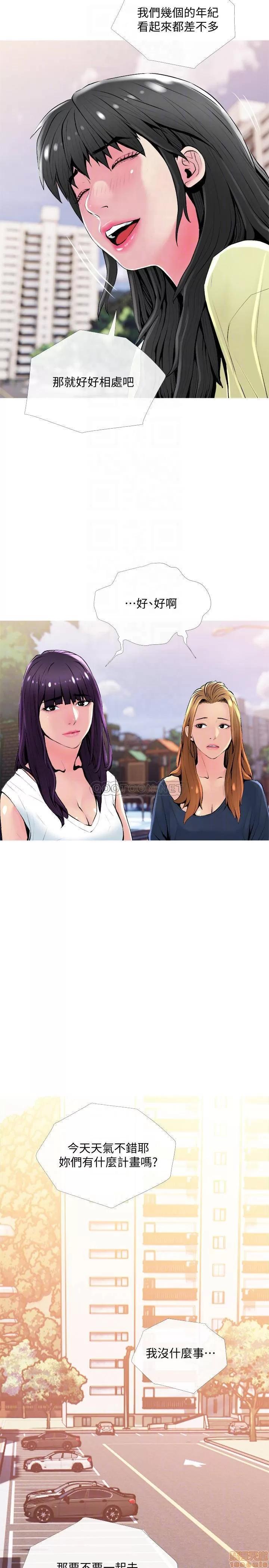主妇危机 主妇危机 24 第8页