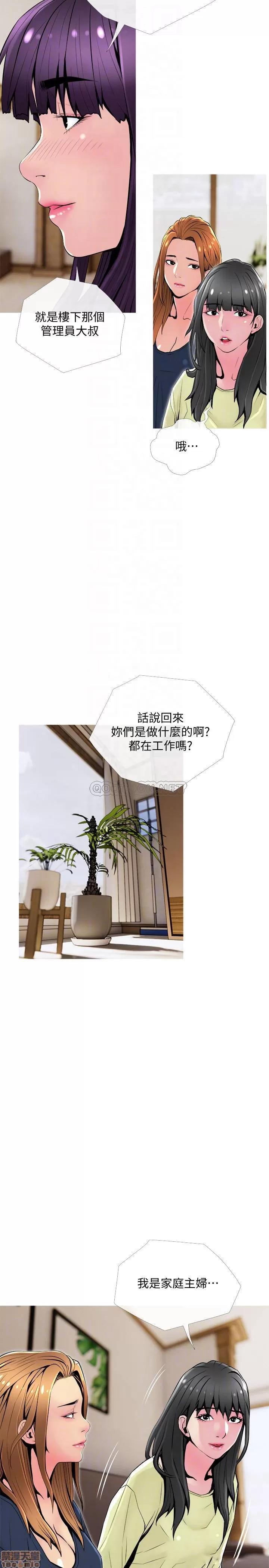 主妇危机 主妇危机 24 第14页