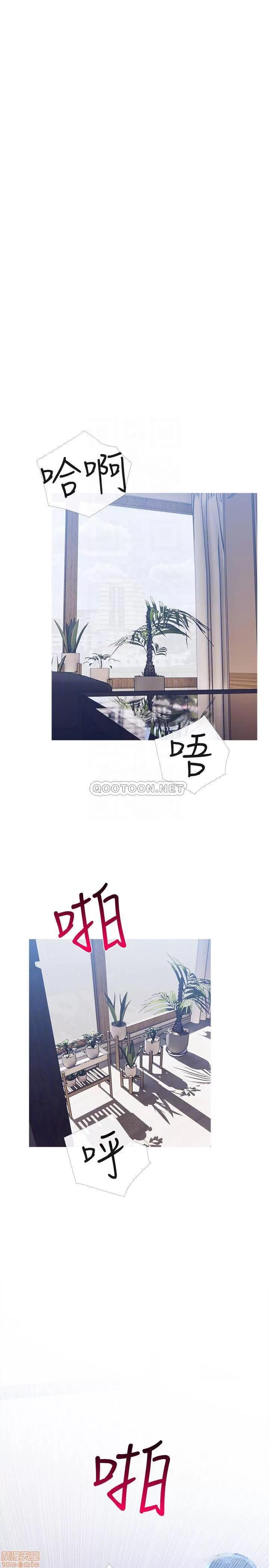 主妇危机 主妇危机 26 第15页