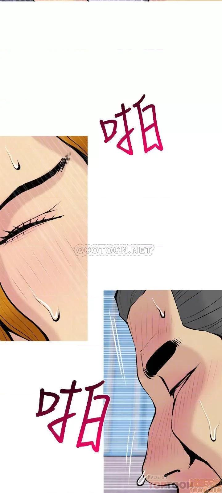主妇危机 主妇危机 31 第12页