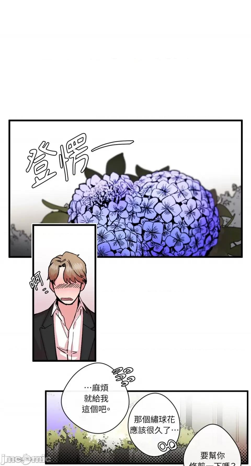 S极之花 S极之花-8 第31页