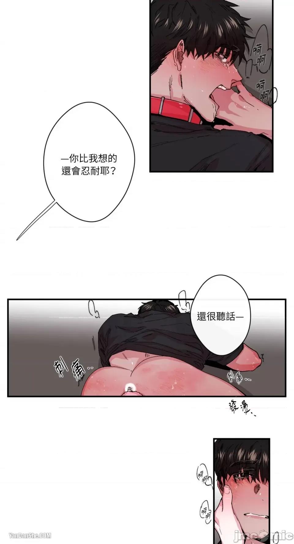 S极之花 S极之花-12 第16页