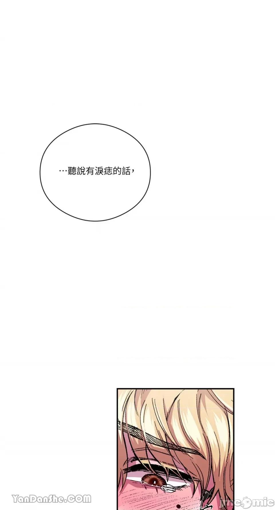S极之花 S极之花-43 第1页