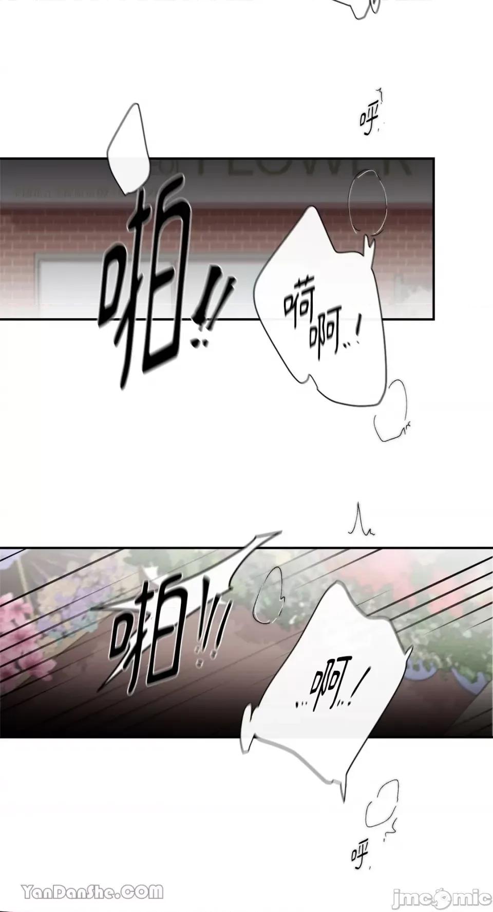 S极之花 S极之花-43 第6页