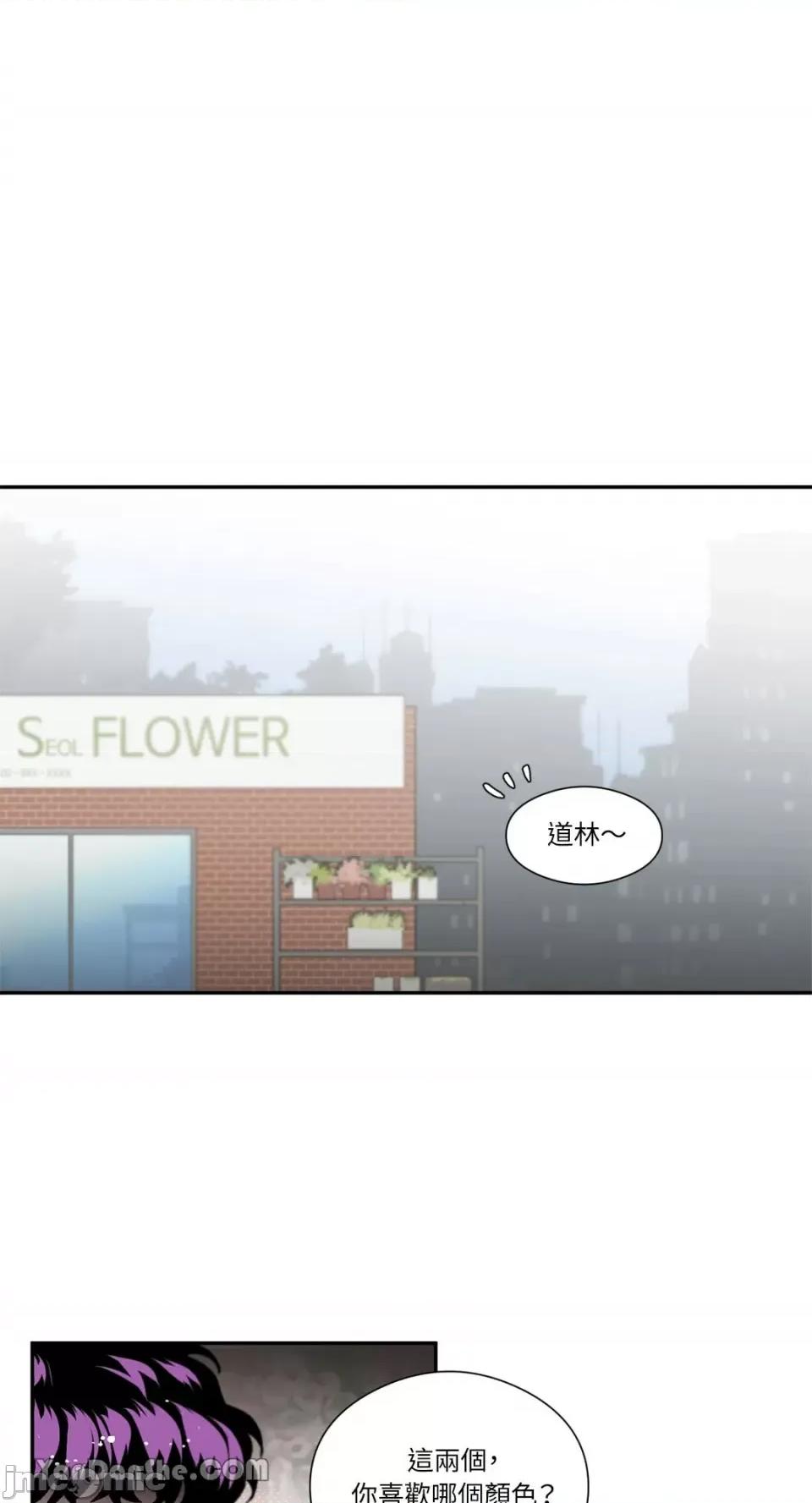 S极之花 S极之花-46 第42页