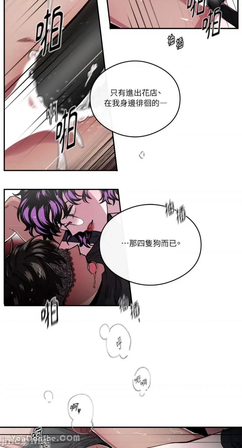 S极之花 S极之花-57 第33页