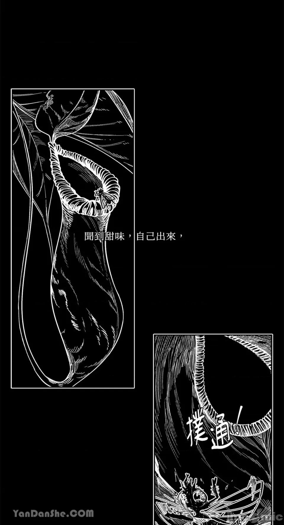 S极之花 S极之花-65 第25页