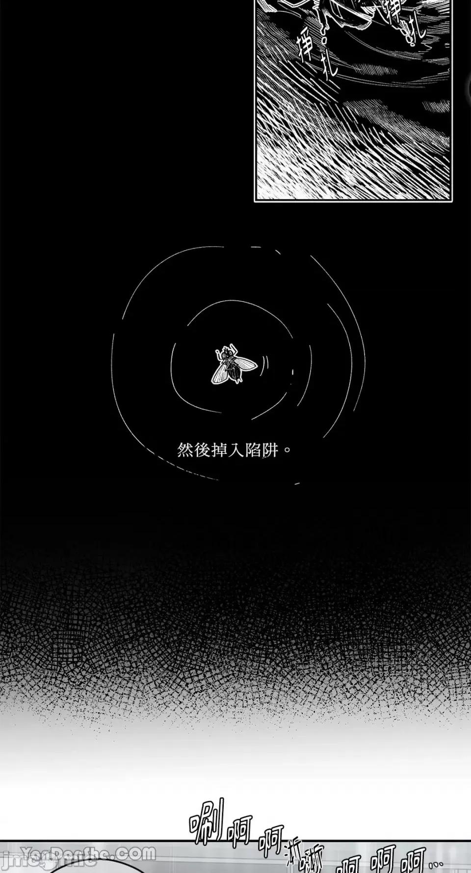 S极之花 S极之花-65 第26页