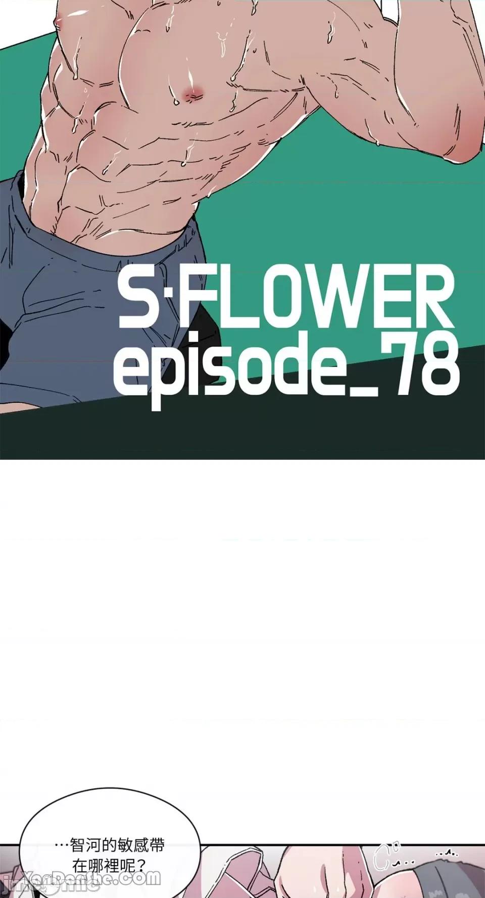 S极之花 S极之花-78 第5页