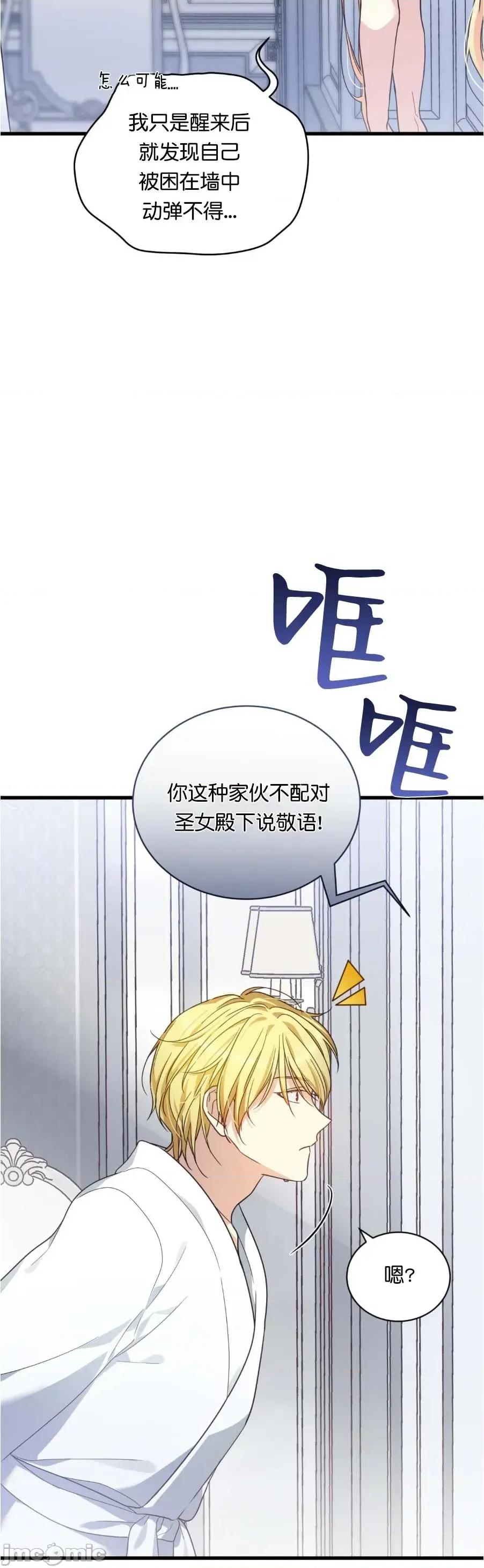 卡于墙中的圣女殿下 卡于墙中的圣女殿下 第50页