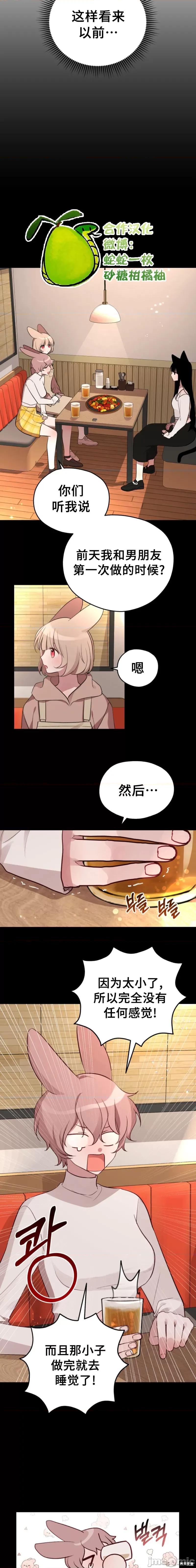 蛇和兔子可以结婚吗 蛇和兔子能结婚吗？ 第4页