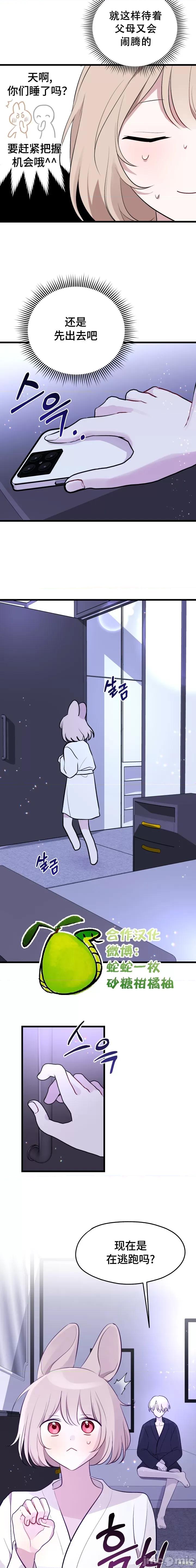 蛇和兔子可以结婚吗 蛇和兔子能结婚吗？ 第6页