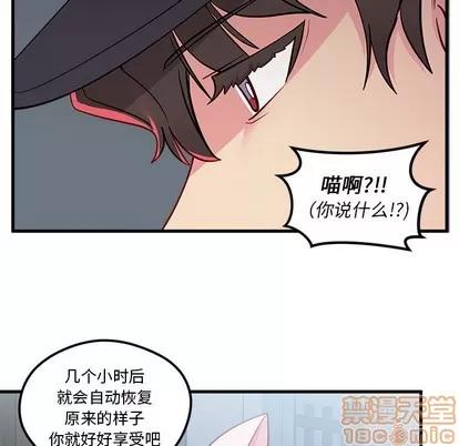 恋爱攻略 恋爱攻略 | 第44章 第65页