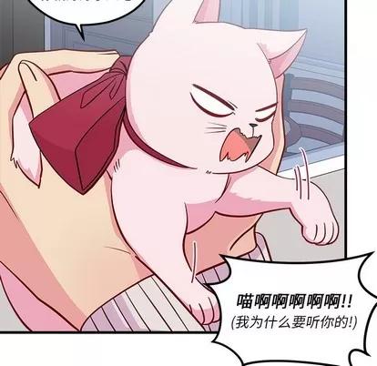 恋爱攻略 恋爱攻略 | 第44章 第66页