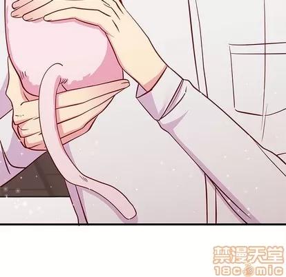 恋爱攻略 恋爱攻略 | 第45章 第5页
