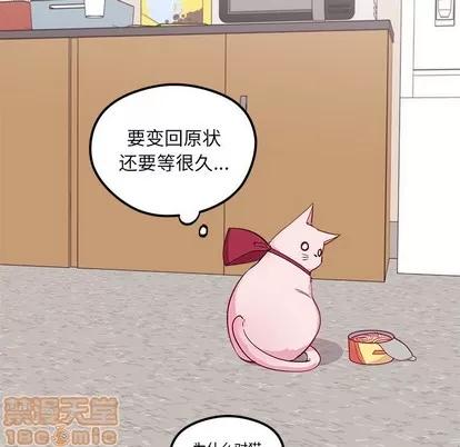 恋爱攻略 恋爱攻略 | 第45章 第70页